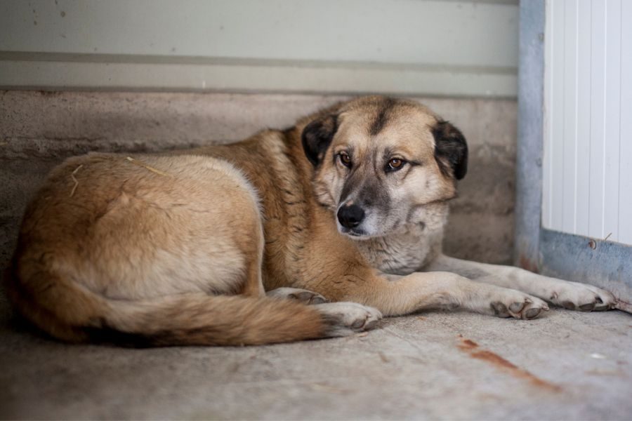 Annika liegt auf dem Boden und schaut traurig