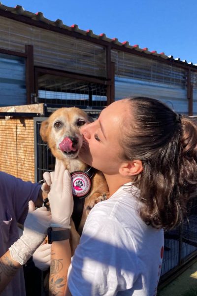 Frau gibt Hund einen Kuss