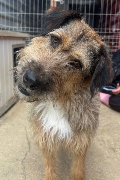 Lona schaut süß in die Kamera