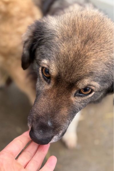 Nikos schaut nach oben