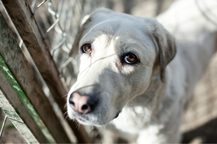 Niomi schaut in die Kamera