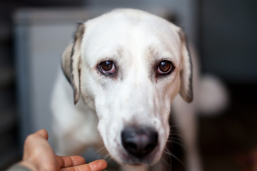 Niomi schaut in die Kamera