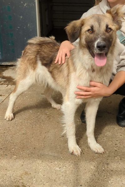 Poem schaut in die Kamera