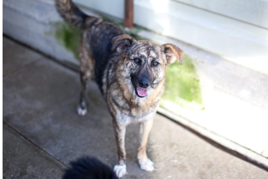 Riad schaut in die Kamera