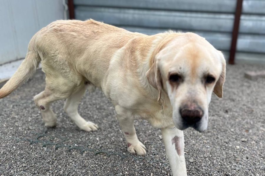 Sam läuft auf jemanden zu