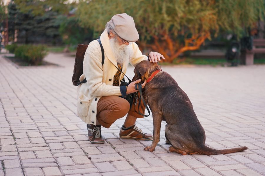 Ein alter Mann beugt sich zu einem Hund und streichelt ihn