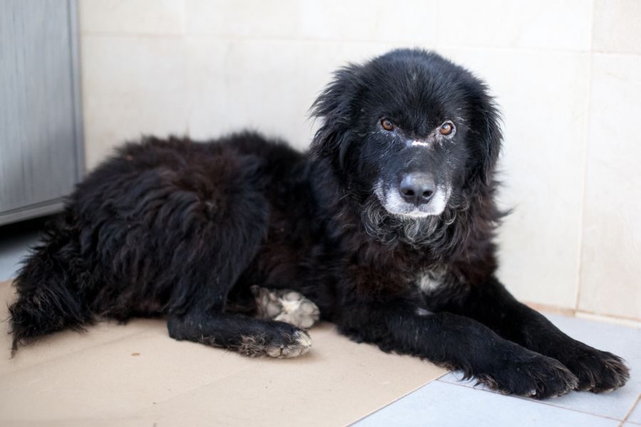 Steckbriefbild - Mats