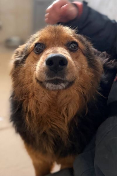 Luuk grinst in die Kamera.