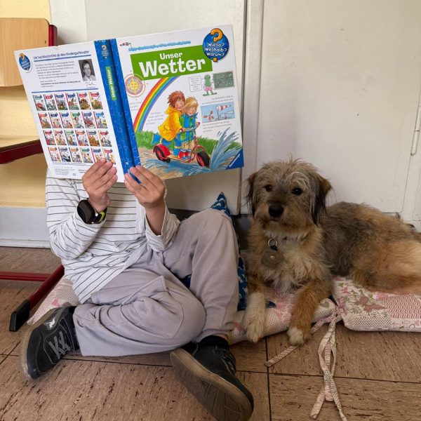 Ein Schüler liest einem braunen Schulhund etwas aus einem Buch vor