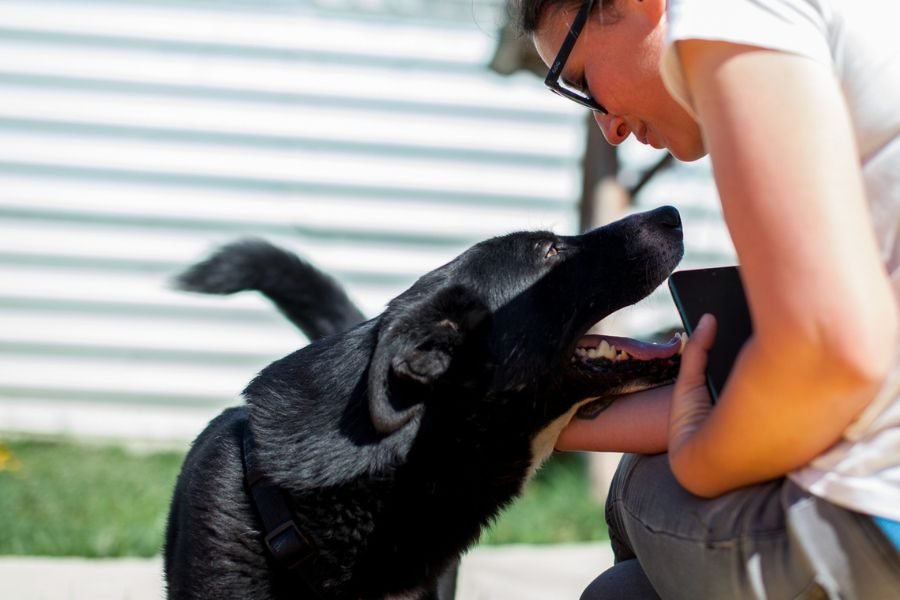 Hund interagiert mit einer Pflegerin
