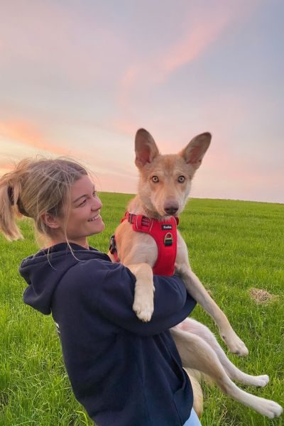 Hund bei Frau auf Arm, schaut in die Kamera
