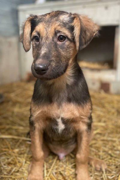 Webistebild hochkant Bert