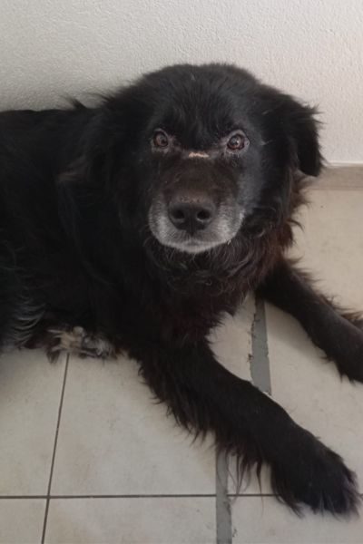 Website Hochkant - Mats