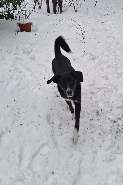 Websitebild hochkant Karla