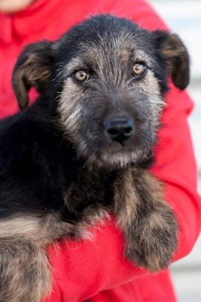 Websitefoto hochkant - Chica