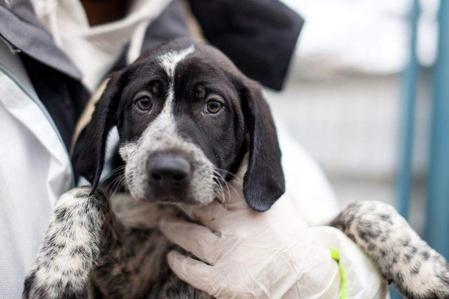 George wird in die Kamera gehalten.