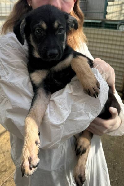 Winnie ist auf dem Arm
