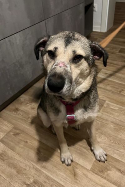 Rosine sitzt und schaut in die Kamera.