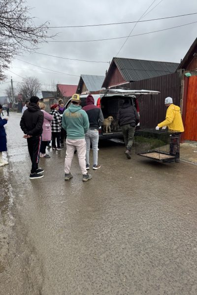 Immer mehr Leute versammeln sich...