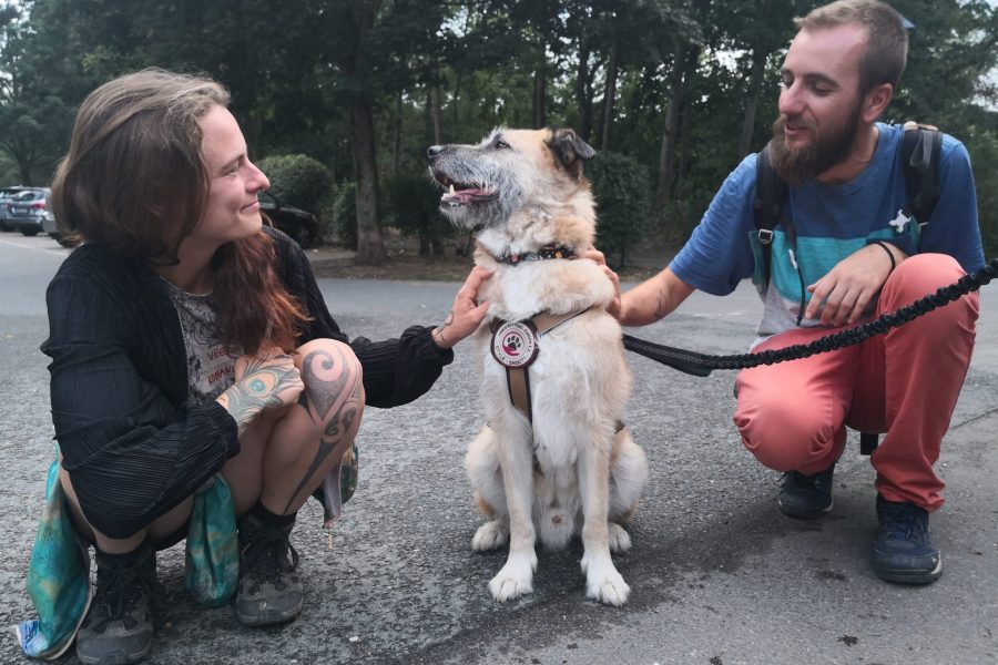 chester-vera-hunderettung-europa