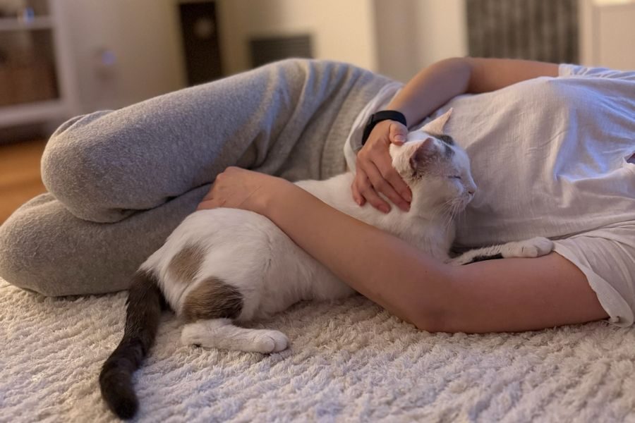 cooper-im-zuhause-hunderettung-europa