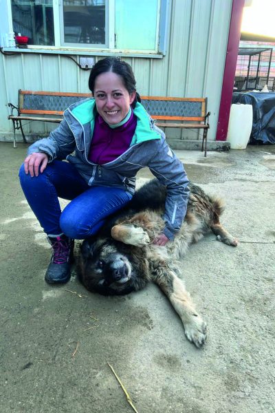 Eine Frau kniet neben einem Hund im rumänischen Tierheim