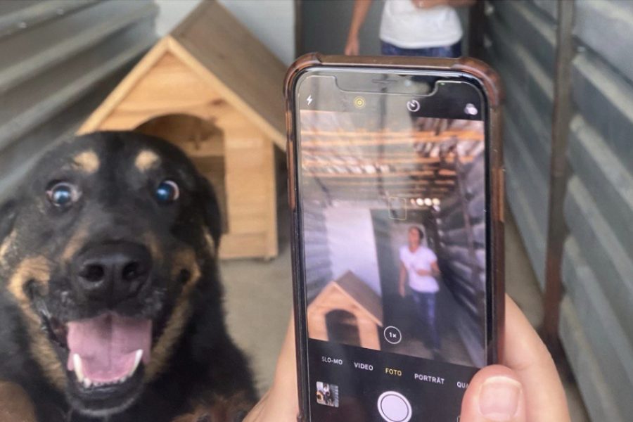 douglas-social-media-smartphone-handy-hunderettung-europa