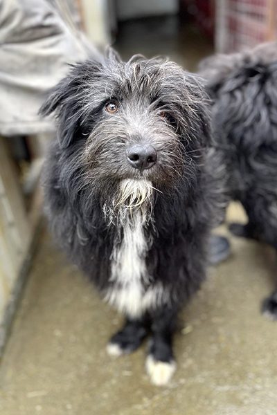 Poseidon schaut in die Kamera