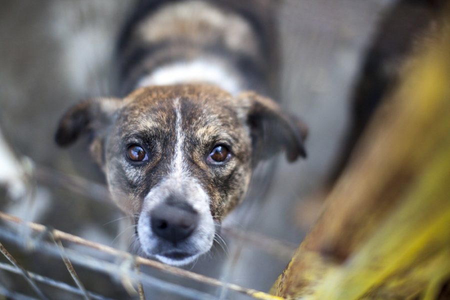 Emilia schaut von unten in die Kamera