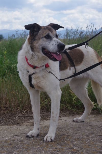 Mady schaut in die Kamera.