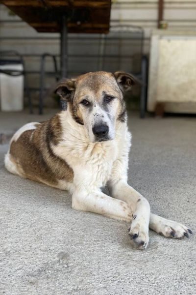 Mady schaut in die Kamera.