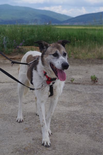 Mady schaut in die Kamera.