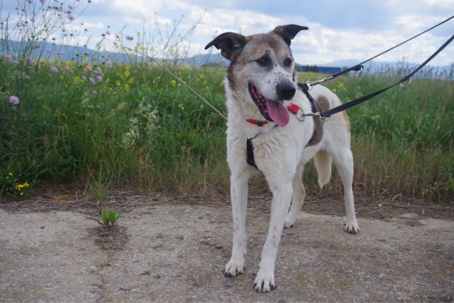 Mady schaut in die Kamera.