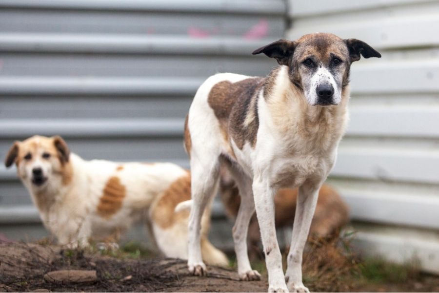 Mady schaut in die Kamera.