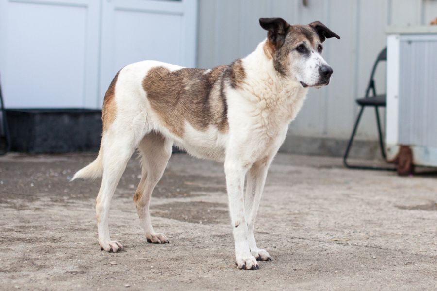 Mady schaut in die Kamera.