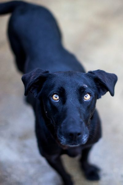 Cherry schaut nach oben in die Kamera