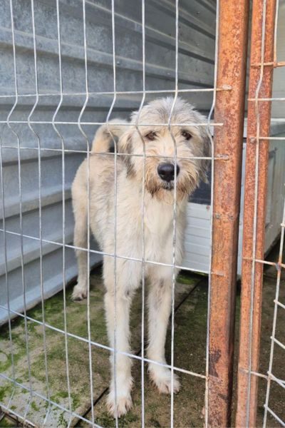 Ranja schaut in die Kamera.