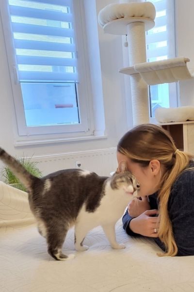 katze-peggy-zuhause-gefunden-hunderettung-europa