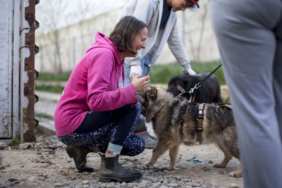 Laurene streichelt einen Hund im Tierheim