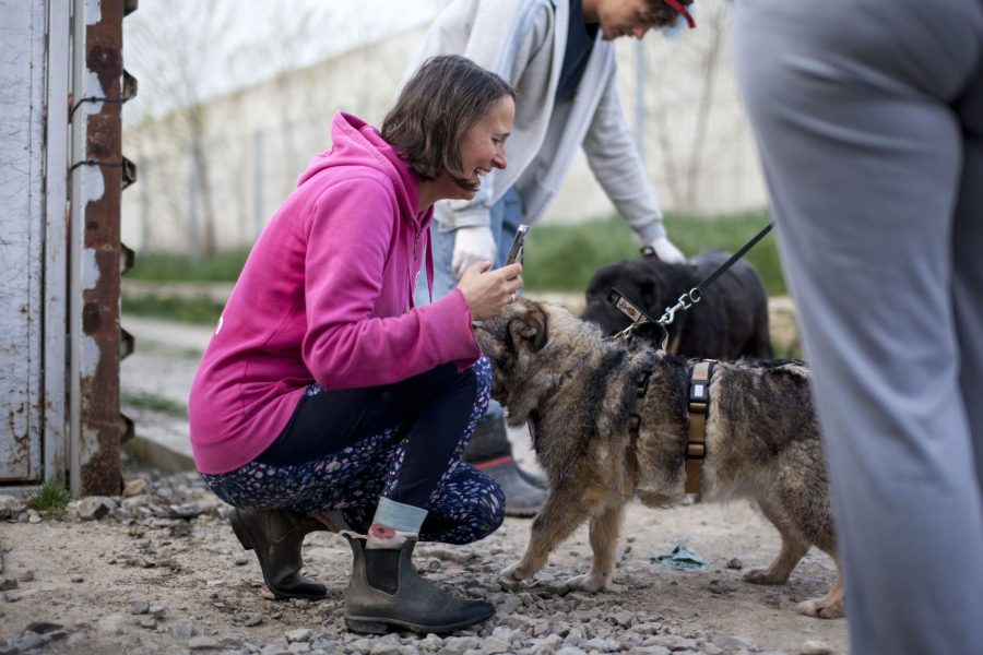 Laurene streichelt einen Hund im Tierheim