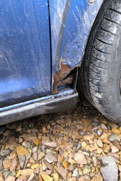 Rost am Tierheim-Auto