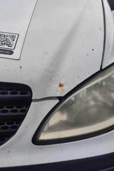 Rost am Tierheim-Auto
