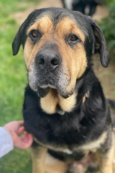 Vinur sitzt und schaut in die Kamera