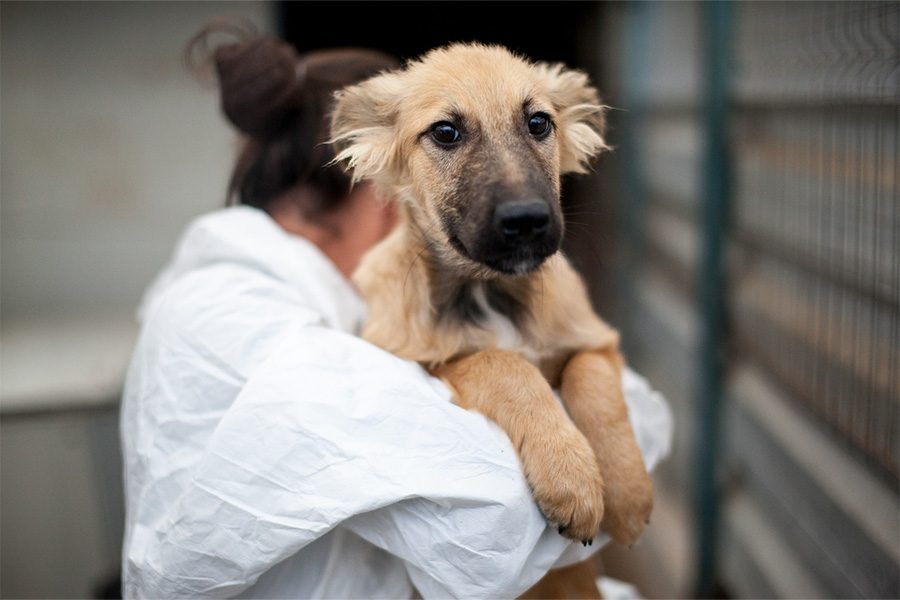 Otsoa als Welpe auf dem Arm der Pflegerin