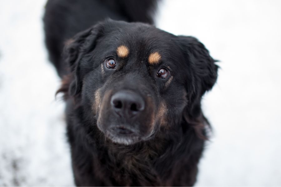 Julito schaut in die Kamera.