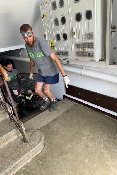 Zwei Männer tragen einen Käfig mit geretteten Hunden