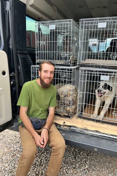 State sitzt lächelnd am Kofferraum eines Hundetransports