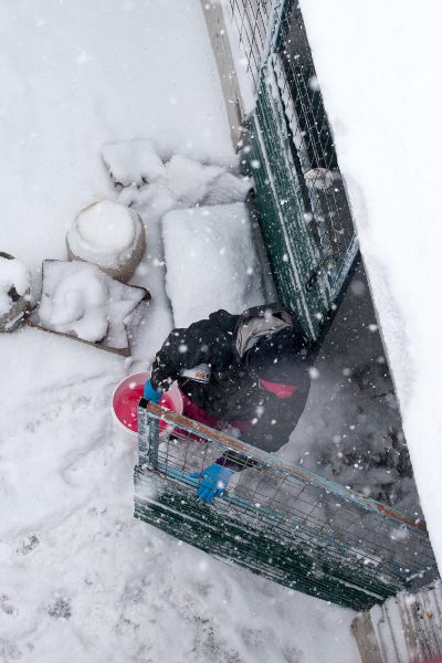 Tierpfleger:in geht aus dem verschneiten Zwinger