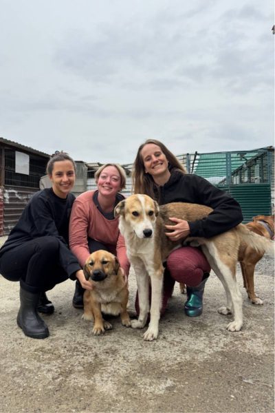 team-in-rumänien-tierheim-hunderettung-europa