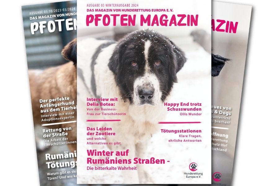 teaser-pfoten-magazin-hunderettung-europa
